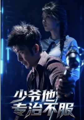 少爷他专治不服全集