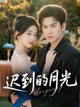 迟到的月光全集