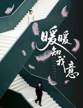 暖暖知我意全集