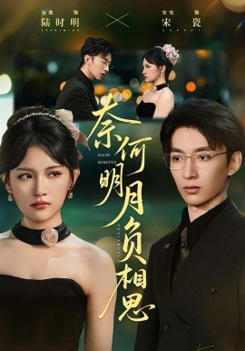 奈何明月负相思全集