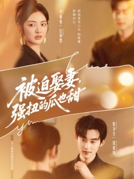 被迫娶妻，强扭的瓜也甜全集