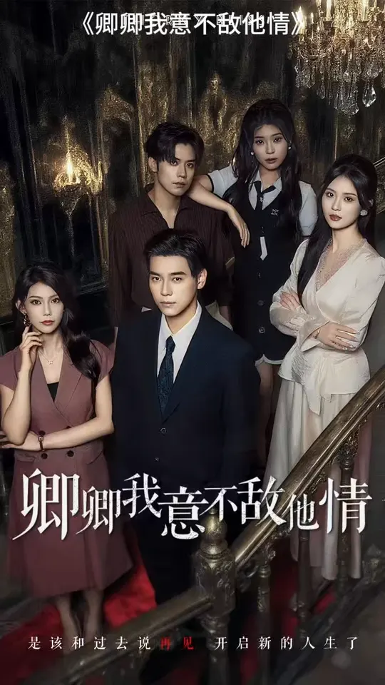 卿卿我意不敌他情全集