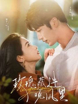 玫瑰藏进晚风里全集