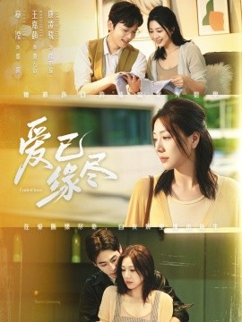 爱已缘尽全集