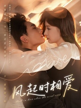 风起时相爱全集