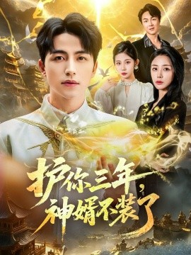 护你三年，神婿不装了全集
