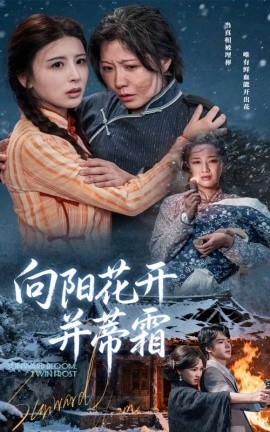 向阳花开并蒂霜全集