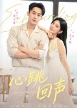 心跳回声全集