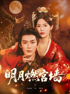 明月燃宫墙全集