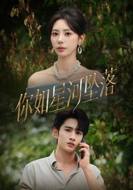 你如星河坠落全集