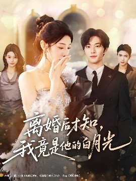 离婚后才知，我竟是他的白月光全集