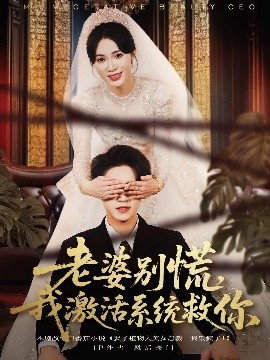 老婆别慌，我激活系统救你全集