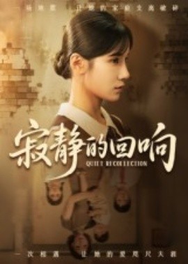 寂静的回响全集