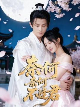 奈何奈何不逢君全集