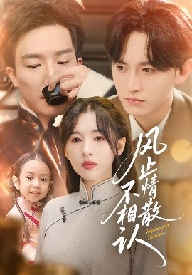 风止情散不相认全集