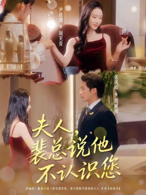 夫人裴总说他不认识您全集