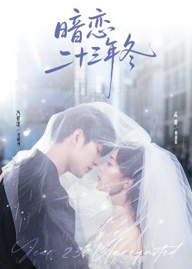 暗恋二十三年冬全集
