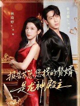 报告苏总，您找的赞婿是龙神殿主全集