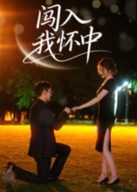 闯入我怀中全集