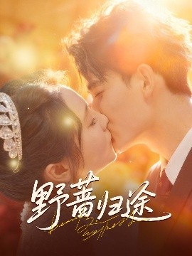 野蔷归途全集