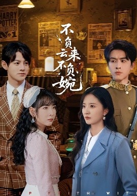 不负云来不负婉全集