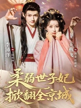 柔弱世子妃掀翻全京城全集