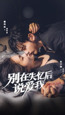 别在失忆后说爱我全集