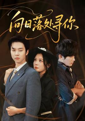 向日落处寻你全集