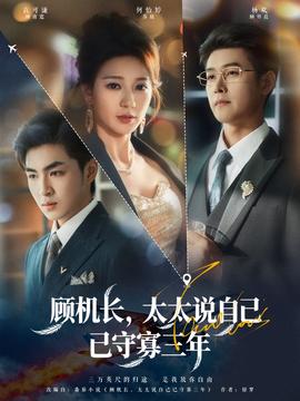 顾机长，太太说自己已守寡三年全集
