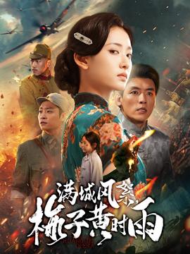 满城风絮梅子黄时雨全集