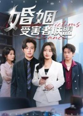 婚姻受害者联盟全集