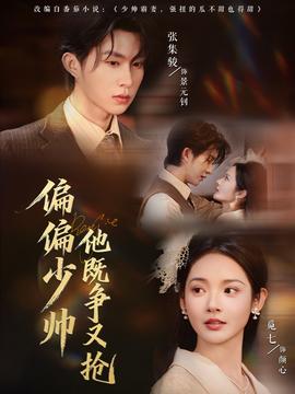 偏偏少帅他既争又抢全集