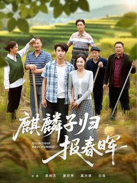麒麟子归报春晖全集