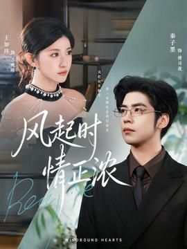 风起时情正浓全集