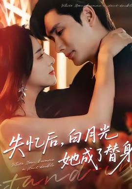 失忆后，白月光她成了替身全集