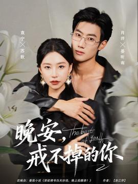 晚安，戒不掉的你全集