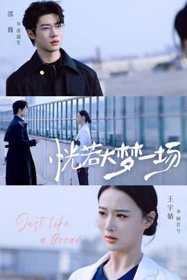 恍若大梦一场全集
