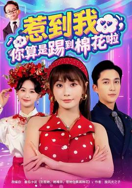 惹到我，你算是踢到棉花啦全集