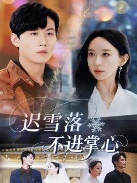 迟雪落不进掌心全集
