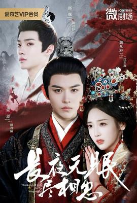 长夜无眠尽相思全集