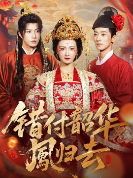 错付韶华凤归去全集