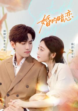 婚内暗恋全集