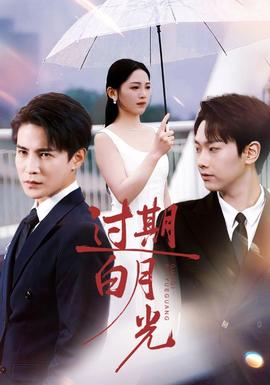 过期白月光全集