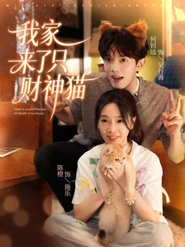 我家来了只财神猫全集