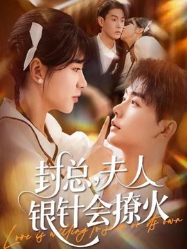 封总，夫人银针会撩火全集