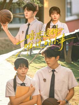 暗恋这件难过的小事全集