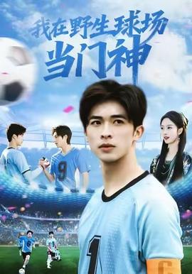 我在野生球场当门神全集