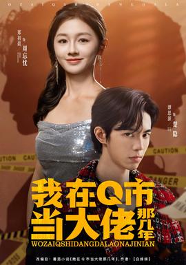 我在Q市当大佬那几年全集