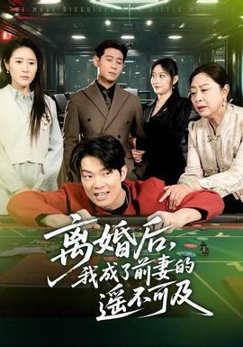 离婚后，我成了前妻的遥不可及全集