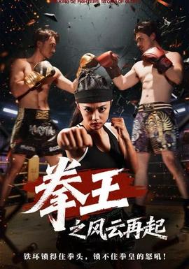 拳王之风云再起全集